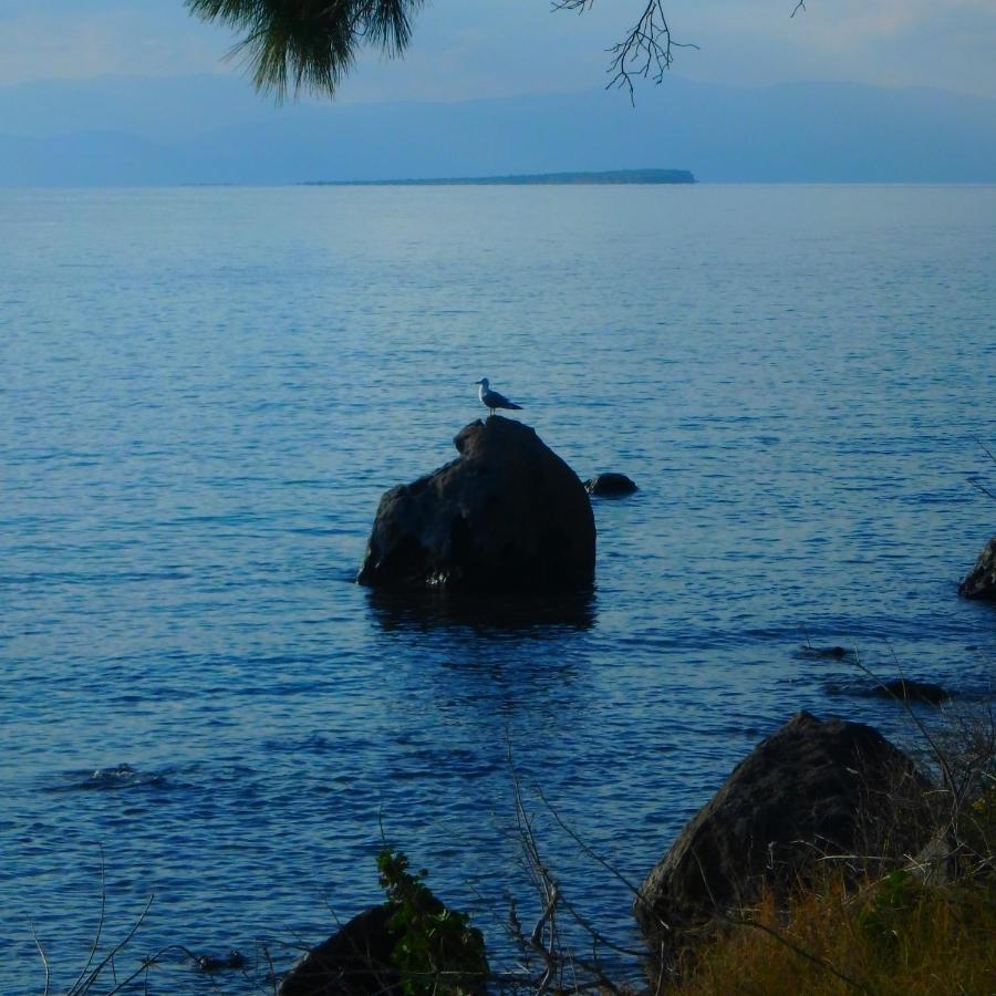 Villa Rodanthos Perdika  Zewnętrze zdjęcie